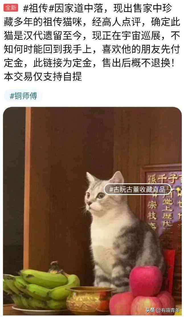 闲鱼AI生成文案软件：推荐与编辑器对比，哪个用