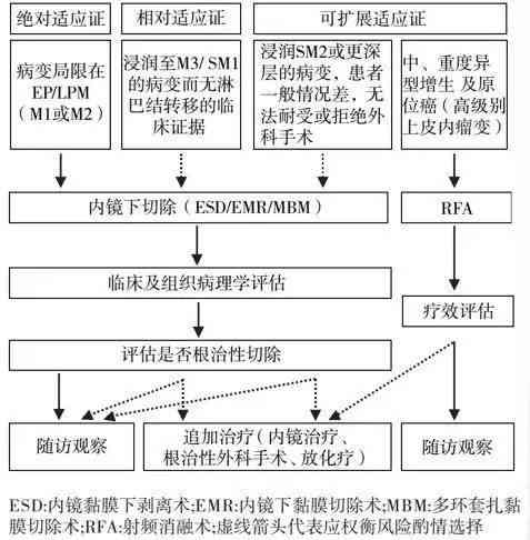 患者病例主诉与症状全面分析：诊断建议与常见问题解答