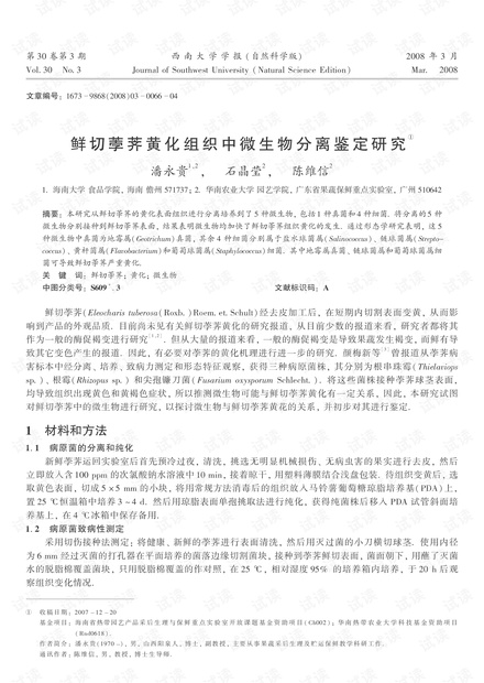 病历作为鉴定依据的条件与流程：全面解析医疗纠纷中病历的作用与鉴定方法