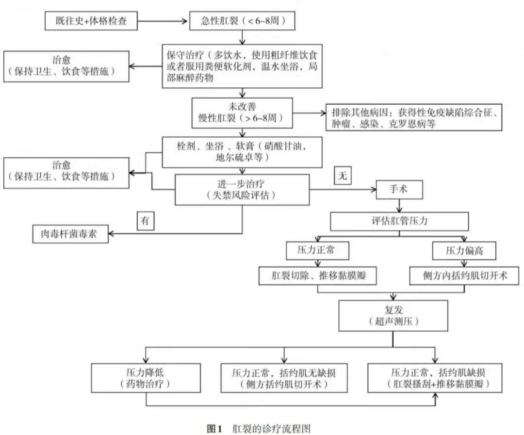 痔疮合并肛裂：探讨综合治疗方案与治愈可能性