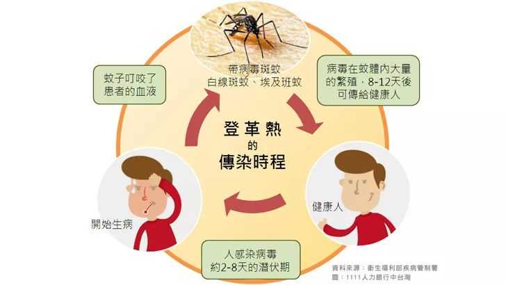 登革热的治愈可能性、治疗周期及预防措详解