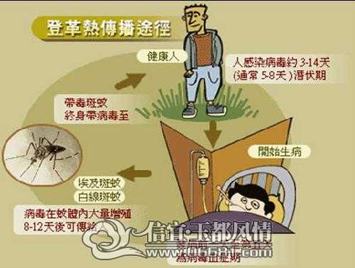 '探讨登革热患者生存期限及治疗策略'