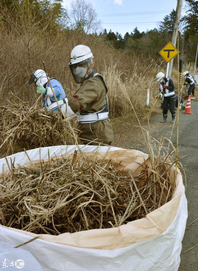 白血病能否认定为工伤：包括等级、事故、病及工伤级别划分