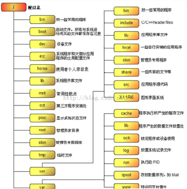 ai脚本放在哪个目录：详细解析脚本存放位置与目录选择