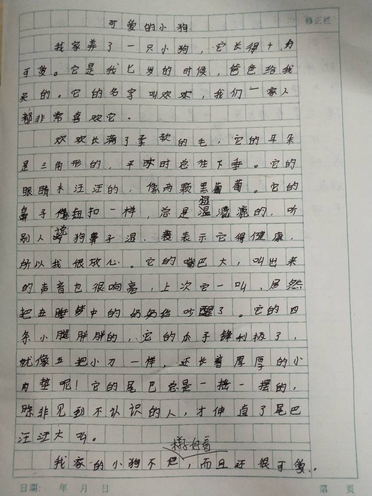 小狗,写作文：二年级150字指导与50字示例写法