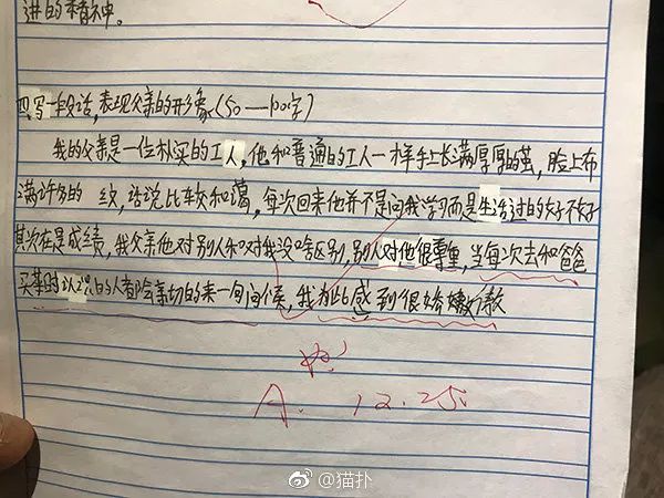 小狗成长记：作文系列第1集，全面记录幼犬生活点滴与训练心得