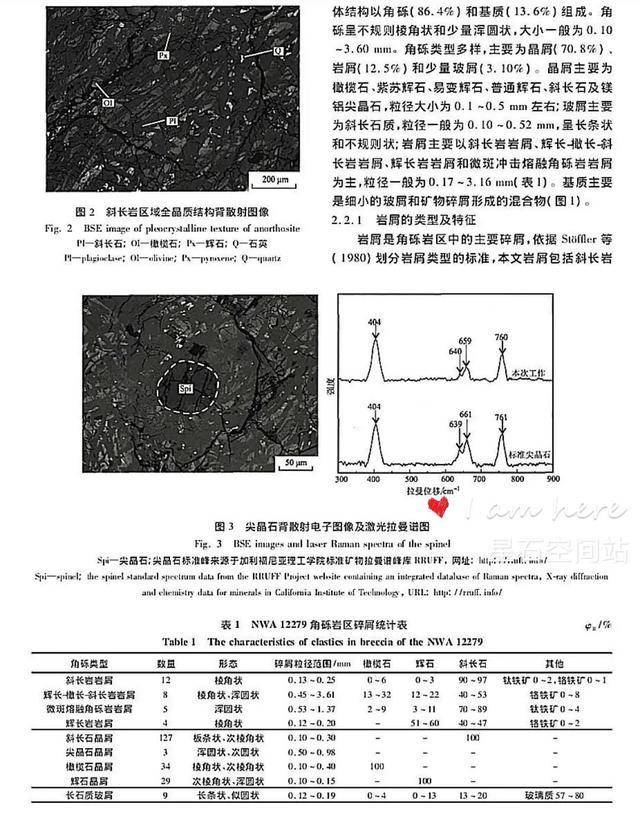 探究皮质扭曲现象：揭秘大脑功能异常背后的科学原理