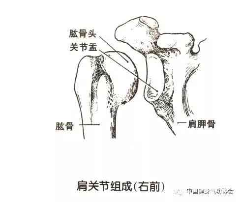 盂肱关节半脱位认定工伤