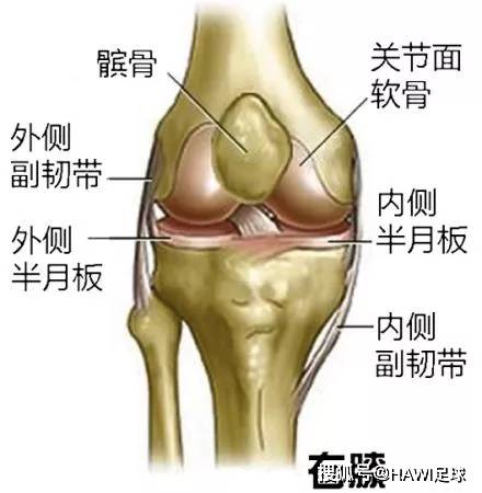 职工     ：盘状半月板撕裂未被认定为工伤