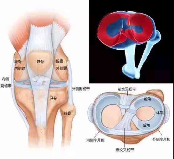 工作中盘状半月板损伤遭遇工伤认定难题：工伤权益如何保障