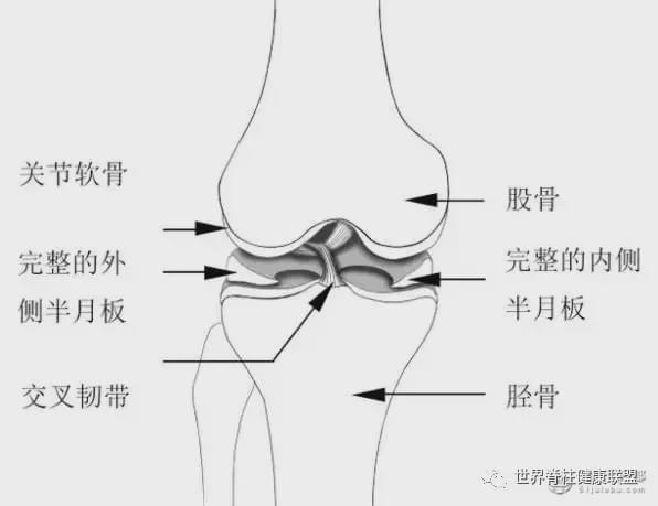 盘状半月板撕裂是否属于工伤：全面解析认定标准及处理流程