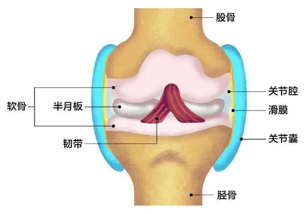 盘状半月板撕裂是否属于工伤：全面解析认定标准及处理流程