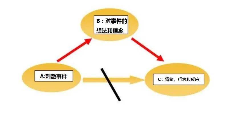 深入解析直接认定的含义及其在不同情境中的应用与影响