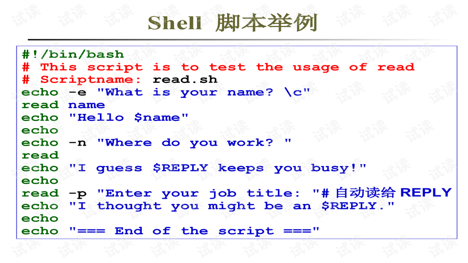 AI脚本编写指南：从基础入门到高级实战技巧，全面解答AI编程相关问题