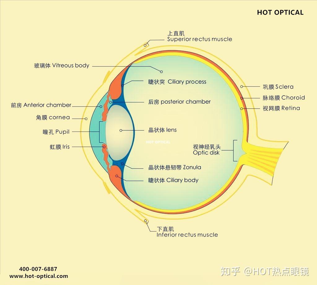 眼睛近视算不算工伤：事故范围、伤残认定及工伤性质探讨