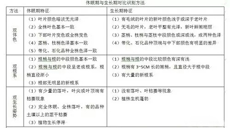 眼睛不进入铁屑，如何判断是否构成工伤及处理流程详解