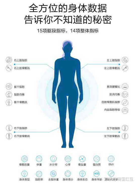 智能身材体型分析与评估工具