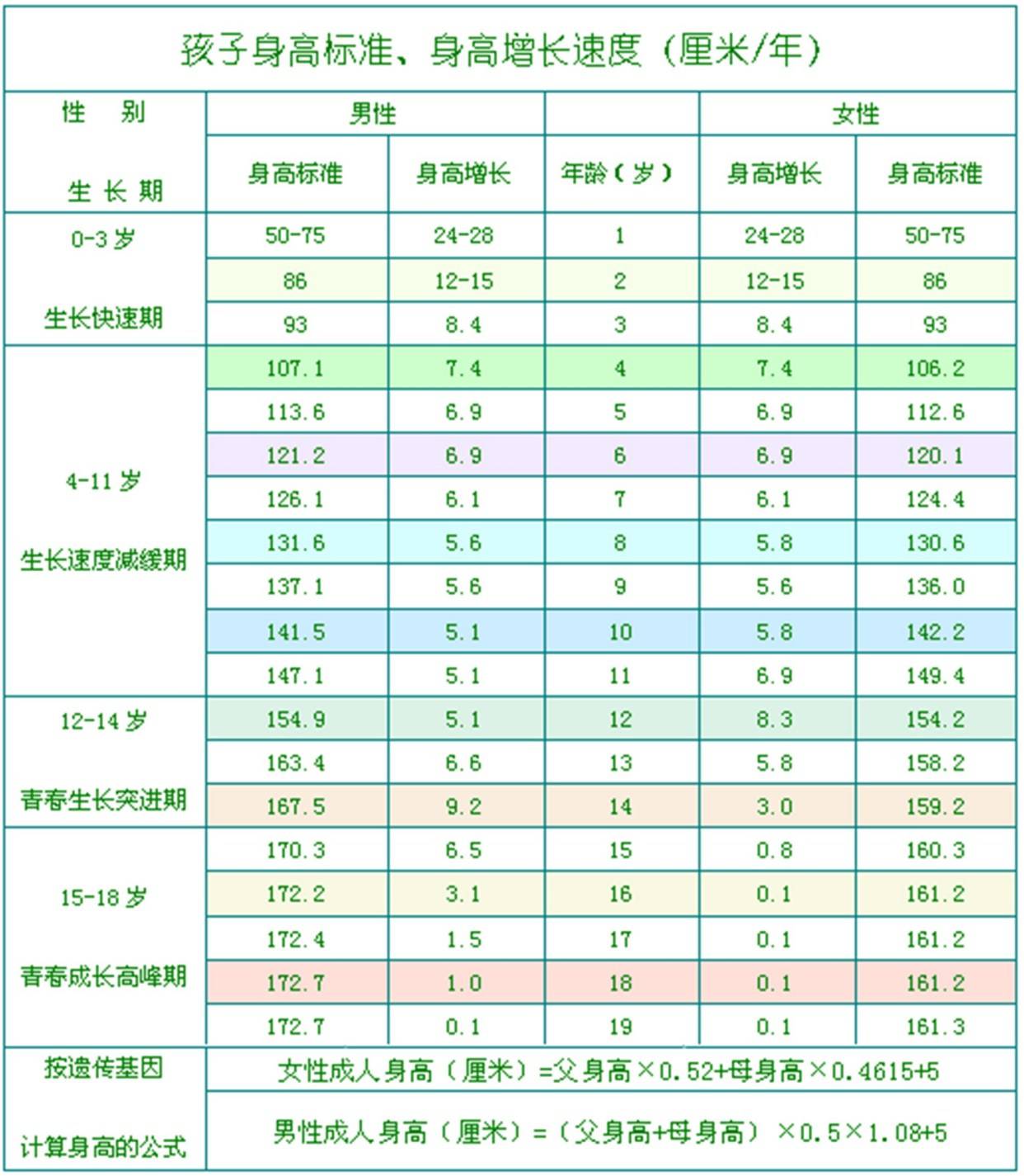 身材评估表：标准对照与测量值对比身材指标总览