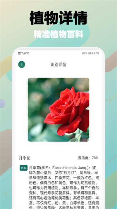 智能AI植物识别助手：一键快速鉴定上千种植物，解决植物识别难题