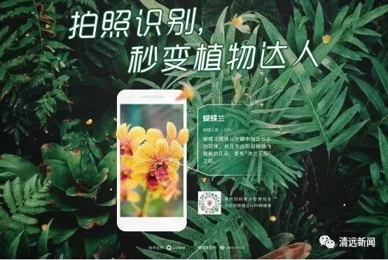 智能AI植物识别助手：一键快速鉴定上千种植物，解决植物识别难题