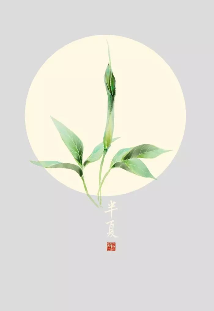 AI植物绘画：从叶脉到花朵，探索人工智能在植物艺术创作中的应用