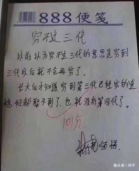 关于南瓜的作文500字：三年级学生视角的400字作文写作指南