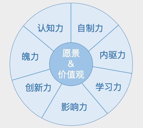 深入解析斑马AI的企业文化：价值观、工作环境与创新发展全景探究