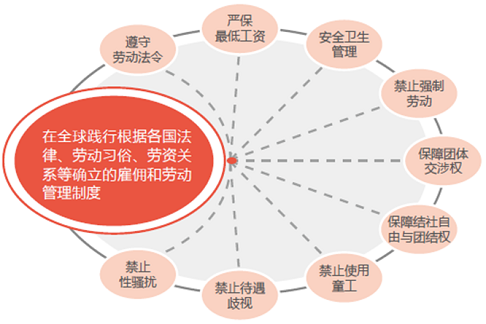 矿山企业职工权益保障：全面解析职工享有的权利与福利