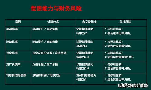 银行授信报告财务分析攻略：全面解读财务指标与偿债能力评估方法