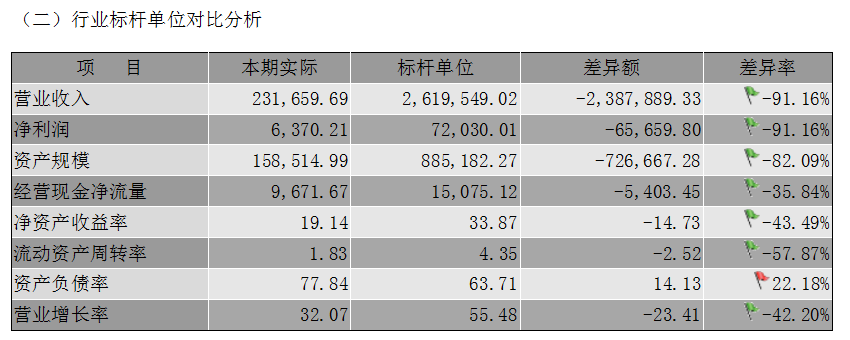 银行企业授信财务分析报告：撰写方法、模板与财务分析要点