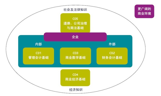 全方位解析：主流运营数据分析工具盘点与实战应用指南