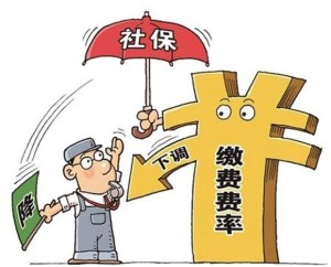 私营企业员工工伤保险制度详解：涵权益保障、参保流程与赔偿标准