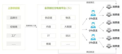 AI文案编辑软件会员制度解析：免费试用、会员权益及费用对比指南