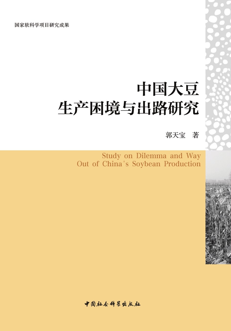 基于道德伦理探讨：1000字深度剖析现代社会道德困境与出路