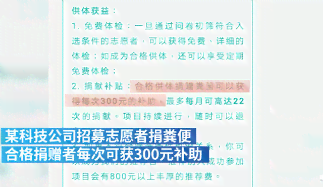 全方位攻略：直播文案编辑全解析，解决用户搜索的所有痛点与技巧！