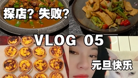 【全面指南】Vlog探店攻略：热门餐厅评价与独家美食体验解析