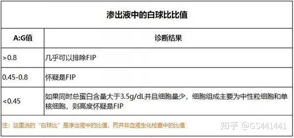 工伤认定的全面指南：涵各种情形与判定标准