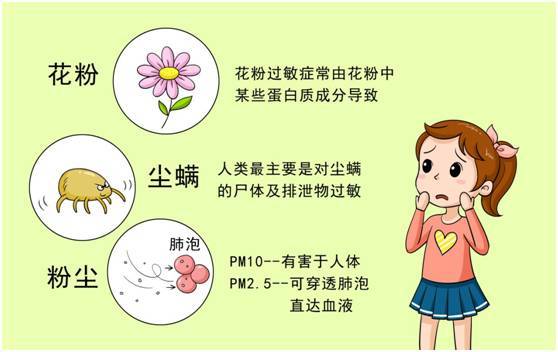 粉尘过敏症状、疾病及其健影响：全方位解析粉尘过敏相关疾病与防治方法