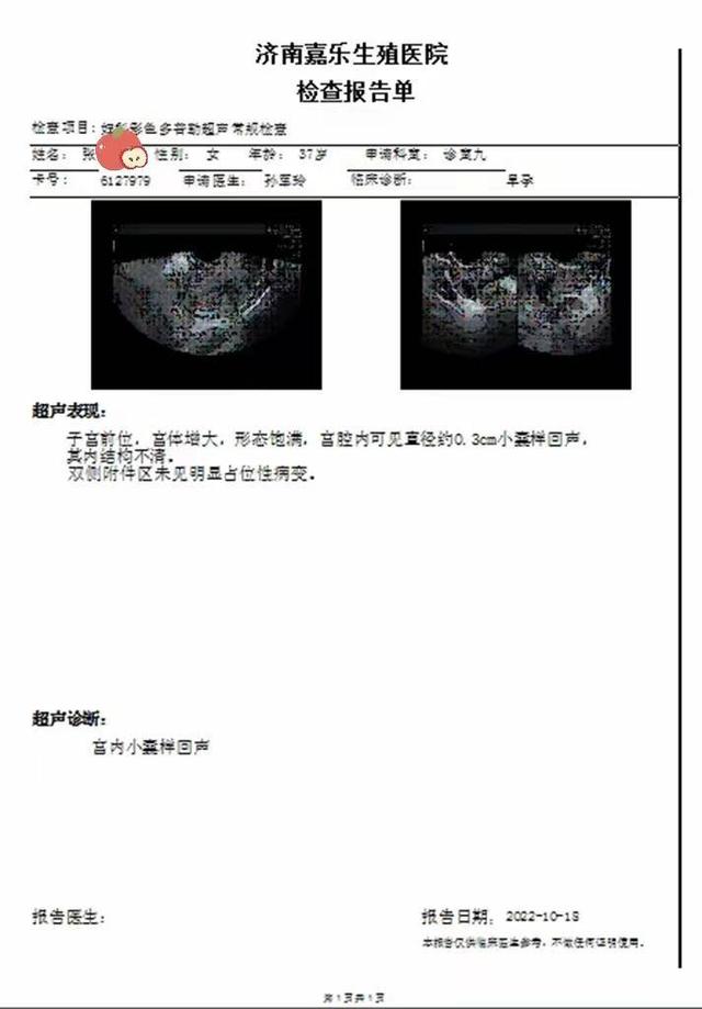 ai怀孕报告：在线生成怀孕检查报告单及详细结果