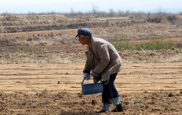 工伤认定中精神障碍评判标准与补偿细则解析