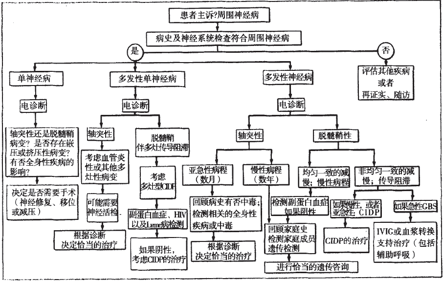 精神病患者工伤等级认定标准与流程解析