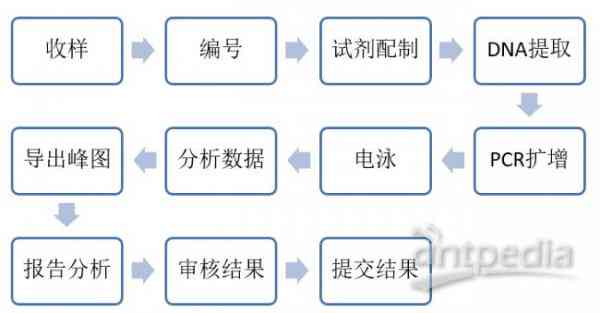 线上工伤等级智能鉴定：标准解读与简易认定流程指南