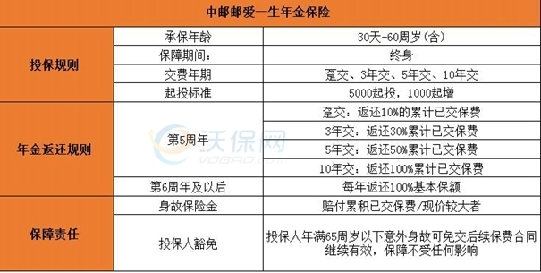 综合保险报告单：全面解析保险理赔流程、条款解读与用户案例分析