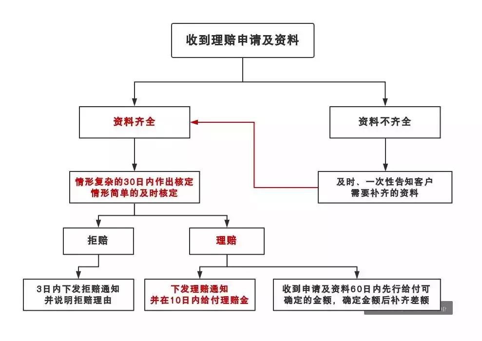 综合保险报告单：全面解析保险理赔流程、条款解读与用户案例分析