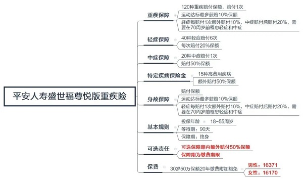 综合保险报告单：全面解析保险理赔流程、条款解读与用户案例分析