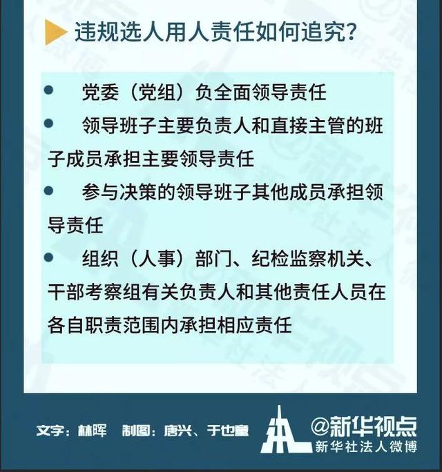 '职业生涯被判身不得重用：人才潜能的遗憾与反思'