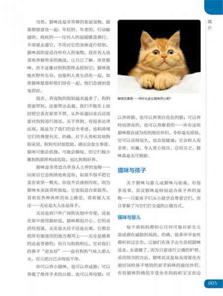 轻松驯养猫咪：全方位指南，解决所有驯养难题