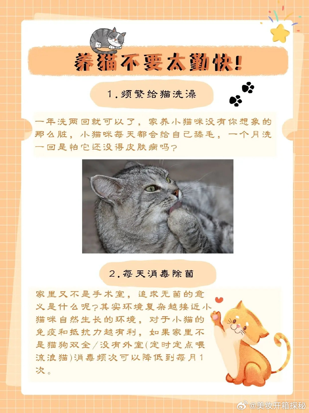 轻松驯养猫咪：全方位指南，解决所有驯养难题