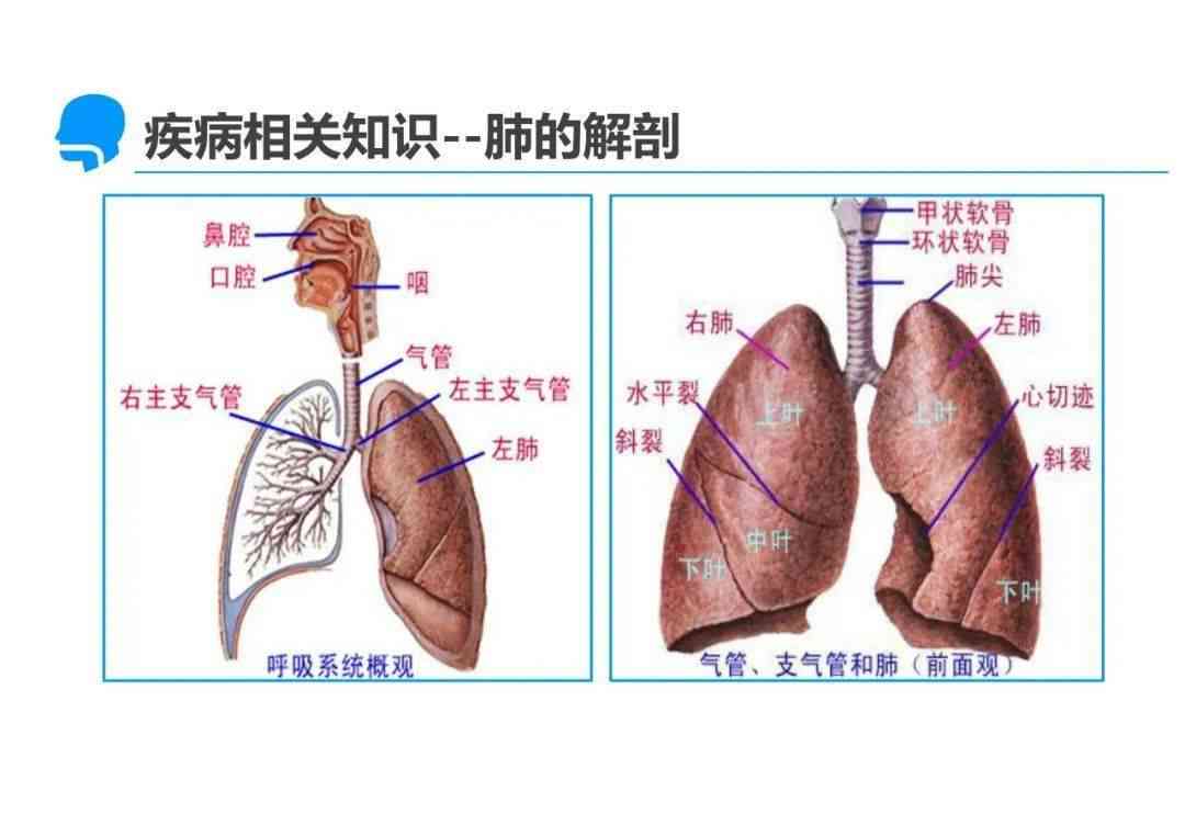 探讨结核性胸膜炎能否被认定为职业性疾病或工伤情况