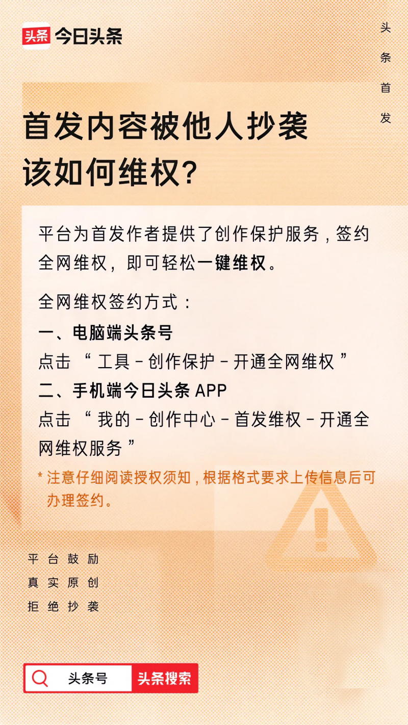 AI创作版权侵权应对策略：     流程、法律途径与案例分析